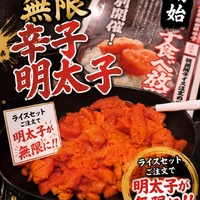 画像1508