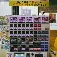 画像458